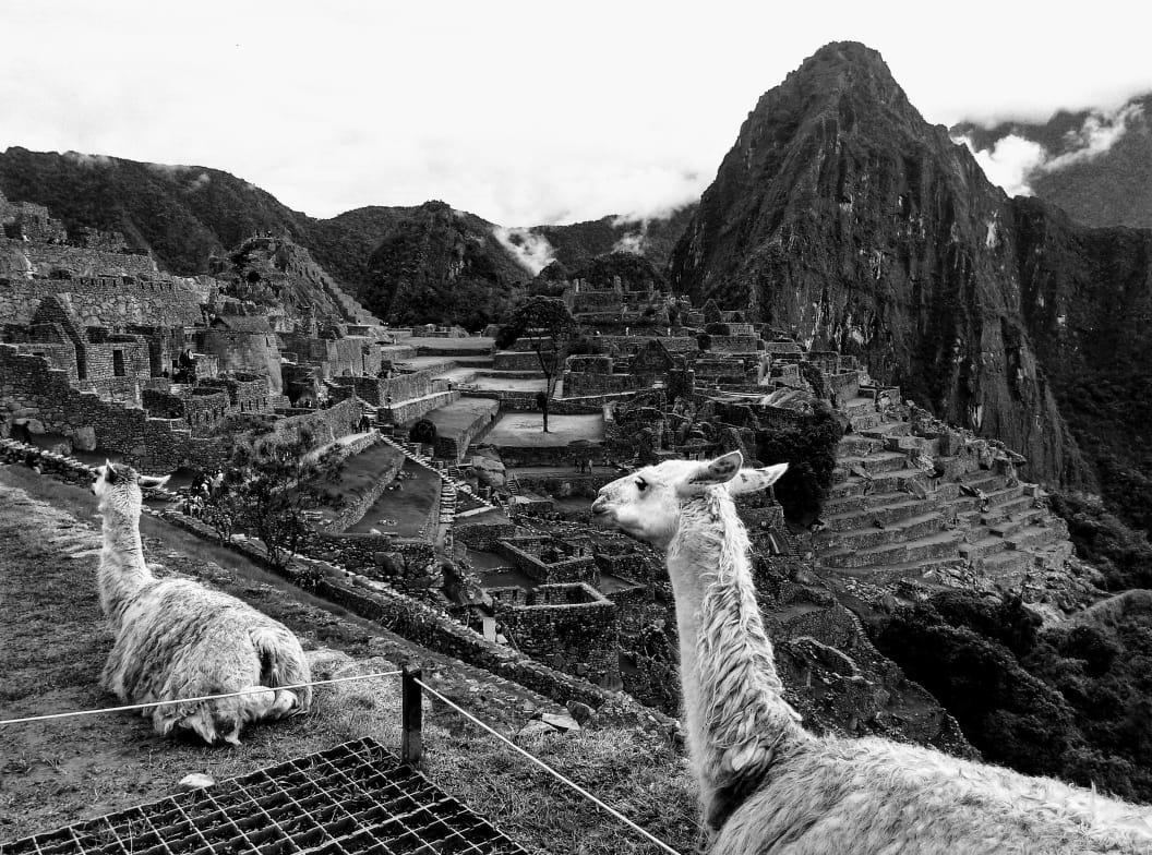 Picos House Machupicchu Hotell Eksteriør bilde